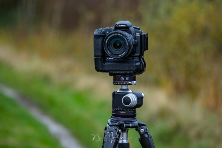 canon eds20d camera​